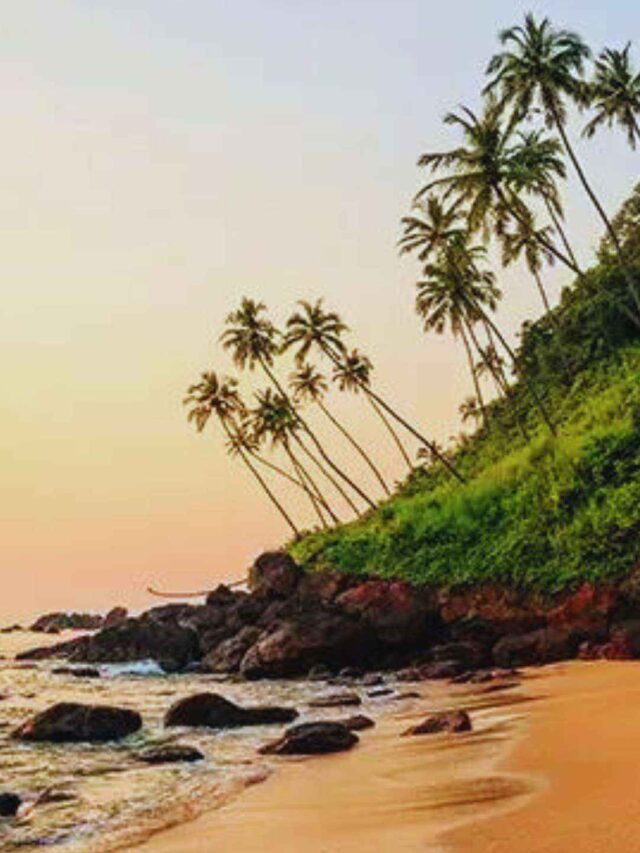 Monsoon Wonderlands Goa